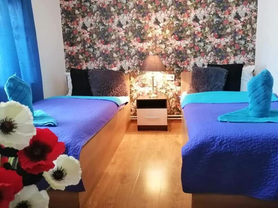 Casa Regala Ear 호텔 크라이오바 외부 사진